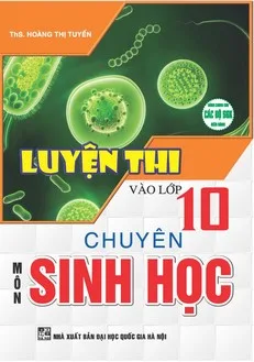Hồng Ân Trực Tuyến