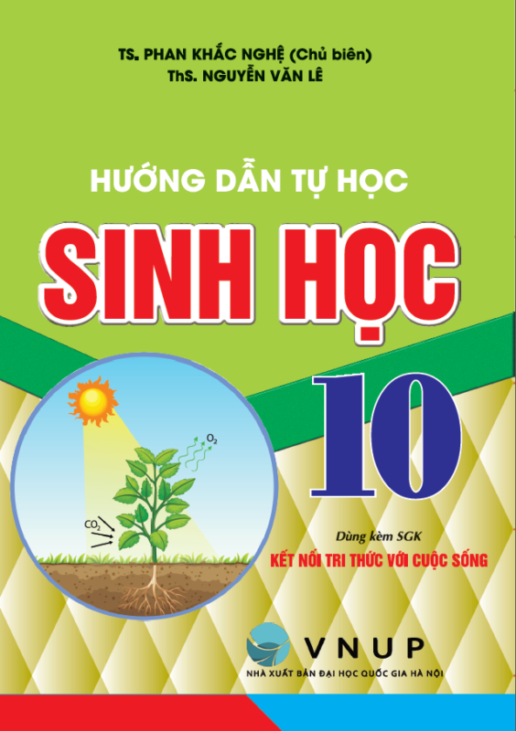 Hồng Ân Trực Tuyến