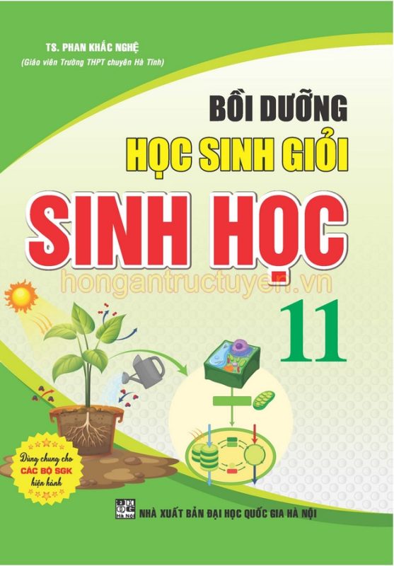 Hồng Ân Trực Tuyến