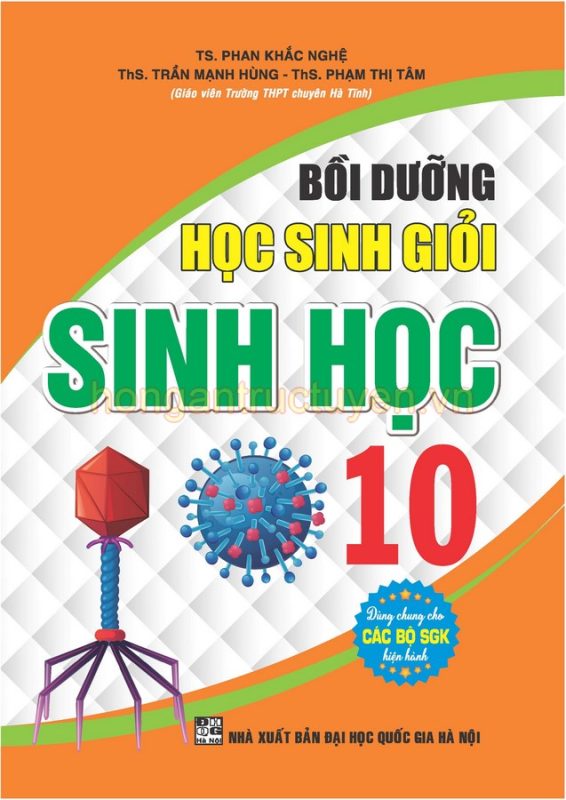 Hồng Ân Trực Tuyến