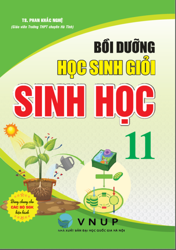 Hồng Ân Trực Tuyến