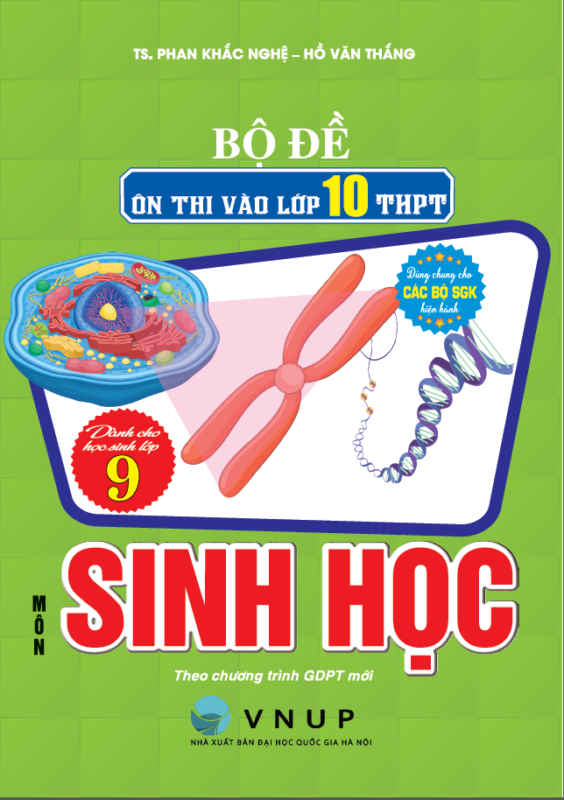 Hồng Ân Trực Tuyến